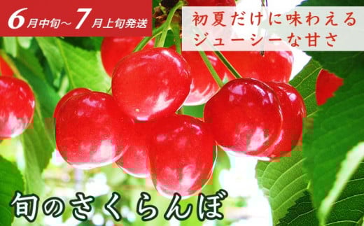 ［4回定期便］ 信州フルーツ4回コース ［小布施屋］ 定期便 先行予約 フルーツ 数量限定 さくらんぼ 白桃 ネクタリン シャインマスカット ぶどう クール便 冷蔵 お楽しみ 長野県産 信州産 令和8年産 【2026年6月中旬～11月発送】