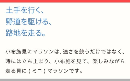 第23回 小布施見にマラソン 出走権 1名分 駐車券あり 2026 ［小布施見にマラソン実行委員会］ マラソン大会 ハーフマラソン 出走券 チケット スポーツ 仮装 コスチューム 参加券 大会 期間限定 送料無料 長野県 小布施町 ［O-4］ 駐車券あり
