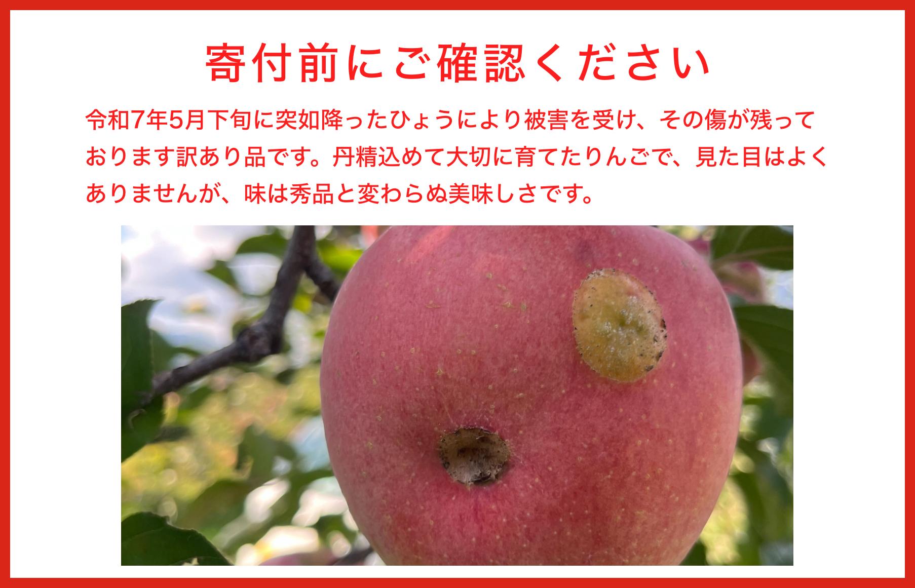 【訳あり】 りんご ひょう被害農家応援 約3kg 6～12玉［おぶせファーマーズ］ 不揃い 規格外 家庭用 りんご 林檎 リンゴ 果物 フルーツ ふじ 長野 信州 数量限定  【2025年10月中旬～2026年1月下旬発送】［F-553］