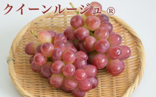 さくらんぼのような香りと強い甘みが魅力のぶどうです。