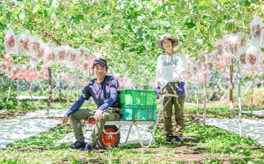 「美味しいと」言ってもらえるよう、時間をかけて丁寧に栽培をしています。