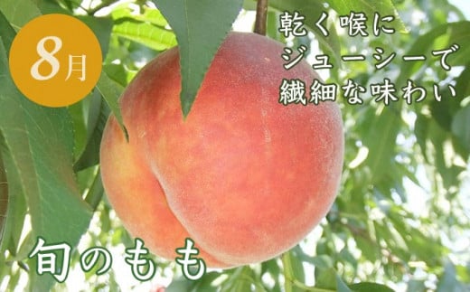 【6回定期便】小布施屋のフルーツ定期便　6ヵ月コース ［小布施屋］ 定期便 頒布会 フルーツ 果物 令和8年産 【2026年7月～12月発送】 ［J-3］