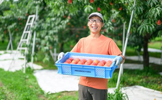 ワッサー 約3kg 7～12玉 ［おぶせファーマーズ］果物 フルーツ クール便 冷蔵便 長野県産 信州産 令和8年産【2026年8月上旬～下旬発送】