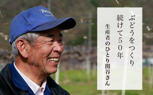 50年以上ぶどうを育てる小布施の名人・関谷さん。