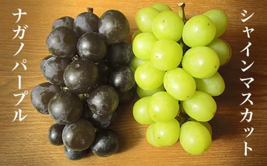 種なしで皮ごと食べられる人気のぶどう2種セット。