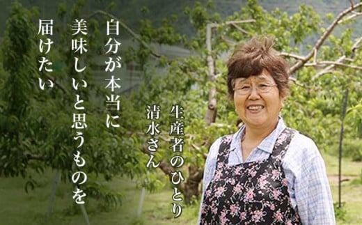 あかつき 約3kg 7～12玉 ［小布施屋］ 桃 もも モモ フルーツ 果物 令和8年産 【2026年7月末頃～8月上旬発送】