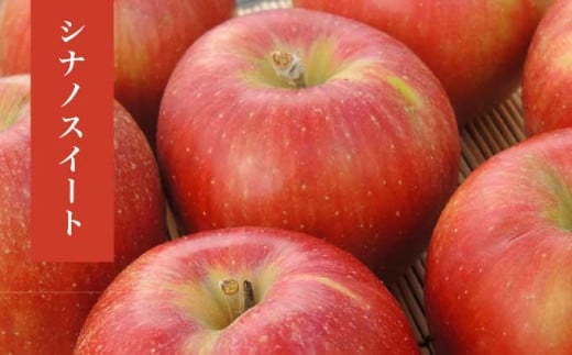  長野県産 季節の旬のりんご 約3kg 6～12玉［小布施屋］ りんご 林檎 リンゴ  果物 フルーツ 令和7年産 【2025年10月～2026年2月発送】 ［H-72］