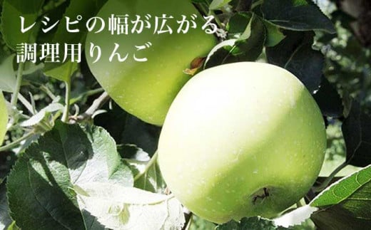 さまざまな料理やデザートに使え、家庭でのレシピが広がる注目の調理用りんご。