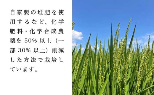 コシヒカリ 白米  約10kg ［ おぶせファーマーズ ］ お米 コメ おこめ ご飯 精米 長野県産 【2025年11月上旬～発送】 ［FK-12］ 白米 約10kg / 28,000円