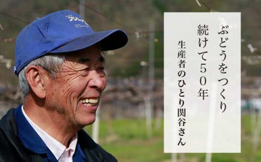 50年以上ぶどうを育て、多品種を栽培する小布施の名人・関谷さん。