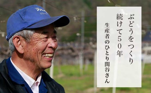 50年以上ぶどうを育て、多品種を栽培する小布施の名人・関谷さん。