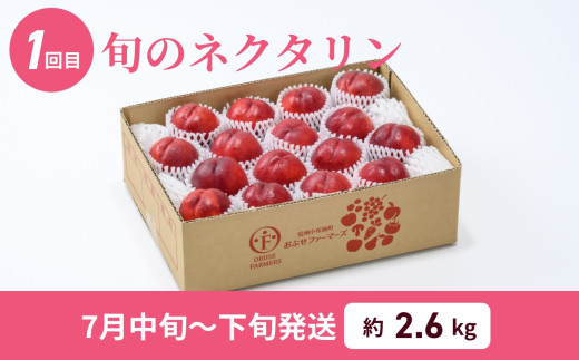 [2回定期便] 旬のネクタリン＆旬の桃 約2.6～3kg 食べ比べ 年2回定期便 ［おぶせファーマーズ］ネクタリン 白桃 旬の桃　ルーツ 果物 冷蔵便 クール便 長野県産 信州産 小布施 令和8年産【2026年7月中旬～8月下旬発送】