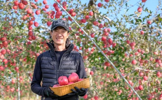 【訳あり】 サンふじ 約5kg 11～18玉［おぶせファーマーズ］  不揃い 規格外 家庭用 りんご 林檎 リンゴ 果物 フルーツ ふじ 長野 信州 数量限定 令和7年産 【2025年11月中旬～2026年2月下旬発送】［F-24］