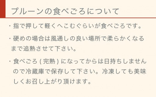 長野県産 旬のプルーン 約2kg ［小布施屋］ 生プルーン 果物 フルーツ 令和8年産 【2026年8月上旬～9月発送】 ［A-219］