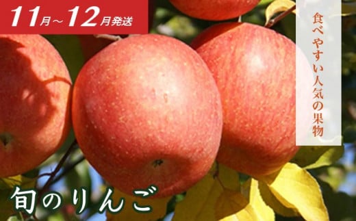 ［3回定期便］ 信州のフルーツ3回コース 小箱 ［小布施屋］ 定期便 先行予約 フルーツ 数量限定 白桃 シャインマスカット ぶどう りんご お楽しみ 3回お届け 長野県産 信州産 令和8年産 【2026年7月～12月発送】