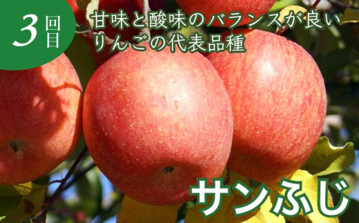 甘味と酸味のバランスが良く、歯ごたえも楽しめる人気りんご。