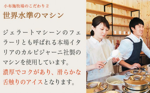 小布施牧場ジャージーミルクアイス 750ml × 2個 ［小布施牧場］アイスミルク アイス スイーツ デザート 菓子 お取り寄せ