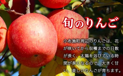 シャインマスカット1房とりんご2玉 約1.3kg　詰め合わせ ［小布施屋］果物 詰合せ セット フルーツ ぶどう 林檎 シャインマスカット 数量限定 期間限定 先行予約 冷蔵便 クール便 長野県産 信州産 送料無料 令和8年産 【2026年9月下旬頃～11月上旬頃まで順次発送】 ［A-307］