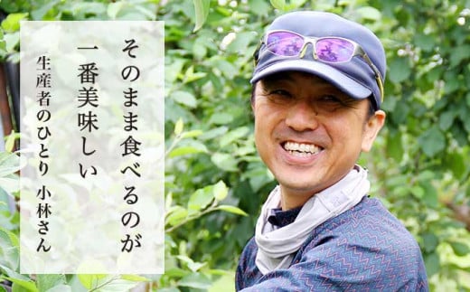 元調理師の小林さんが「そのまま食べるのが一番」と太鼓判を押すりんご。