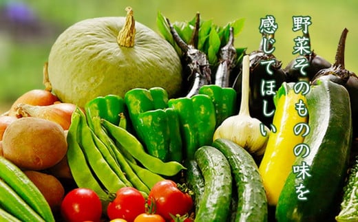 「塩だけで美味しい」本物の味、旬野菜を味わって。