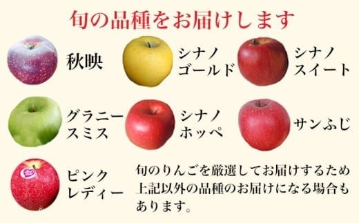 ［訳あり］ 選べる配送時期 旬のりんご 約3kg 6～14玉 ［小布施屋］ 傷 規格外 不揃い 訳アリ 家庭用 りんご 林檎 リンゴ 果物 フルーツ 長野県産 信州産 特産 産地直送 産直 数量限定 先行予約 3月発送 4月発送 令和7年産 【2026年3月～2026年4月配送】［A-304e］ 2026年3月～4月配送