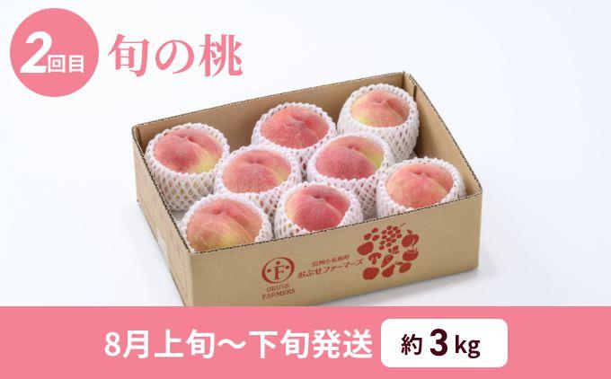 [2回定期便] 旬のネクタリン＆旬の桃 約2.6～3kg 食べ比べ 年2回定期便 ［おぶせファーマーズ］ネクタリン 白桃 旬の桃　ルーツ 果物 冷蔵便 クール便 長野県産 信州産 小布施 令和8年産【2026年7月中旬～8月下旬発送】