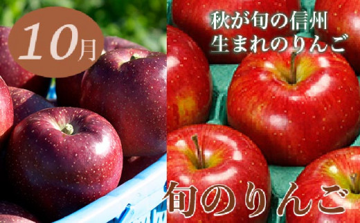 【6回定期便】小布施屋のフルーツ定期便　6ヵ月コース ［小布施屋］ 定期便 頒布会 フルーツ 果物 令和8年産 【2026年7月～12月発送】 ［J-3］