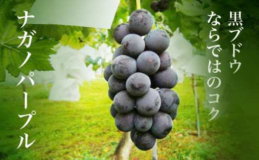 巨峰のように黒く大粒、皮ごと食べられる希少なナガノパープル。