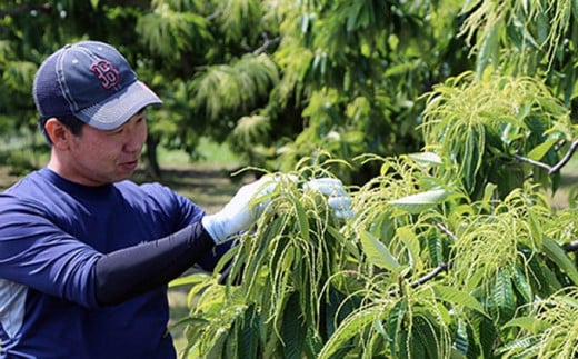 「いろいろな食べ方で栗を楽しんでほしい」と語る小林さん。