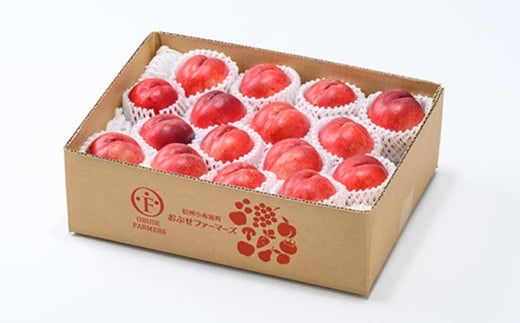 サマークリスタル 約2.6kg ［おぶせファーマーズ］先行予約 ネクタリン 果物 フルーツ 冷蔵便 クール便 長野県産 信州産  令和8年産【2026年7月中旬～8月上旬発送】