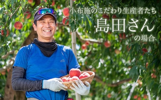 季節の桃 約5kg 13～18玉［ おぶせファーマーズ ］桃 もも モモ ピーチ フルーツ 果物 たまき なつき あかつき 川中島白鳳 なつっこ 川中島白桃 黄金桃 だて白桃 先行予約 長野県産 信州産 クール便 冷蔵便 お取り寄せ 産地直送 数量限定 産地 直送 令和8年産【2026年7月中旬～9月中旬発送】  約5kg (13～18玉) / 18,000円