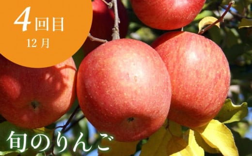 【5回定期便】小布施屋の人気フルーツ定期便 年5回コース ［小布施屋］定期便 頒布会 フルーツ 果物 長野県産  令和8年産 【2026年6月中旬～2027年2月発送】［E-8］