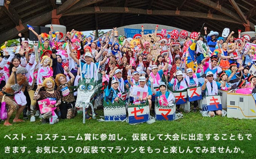 第23回 小布施見にマラソン 出走権 1名分 駐車券なし 2026 ［小布施見にマラソン実行委員会］ マラソン大会 ハーフマラソン 出走券 チケット スポーツ 仮装 コスチューム 参加券 大会 期間限定 送料無料 長野県 小布施町 ［O-5］ 駐車券なし