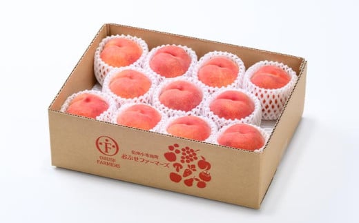 ワッサー 約3kg 7～12玉 ［おぶせファーマーズ］果物 フルーツ クール便 冷蔵便 長野県産 信州産 令和8年産【2026年8月上旬～下旬発送】