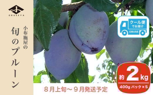 長野県産 旬のプルーン 約2kg ［小布施屋］ 生プルーン 果物 フルーツ 令和8年産 【2026年8月上旬～9月発送】 ［A-219］