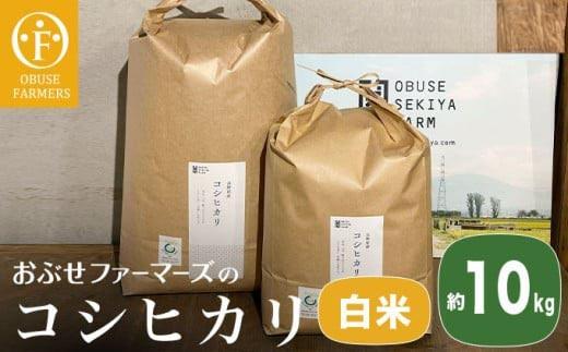 コシヒカリ 白米  約10kg ［ おぶせファーマーズ ］ お米 コメ おこめ ご飯 精米 長野県産 ［FK-12］ 白米 約10kg / 28,000円