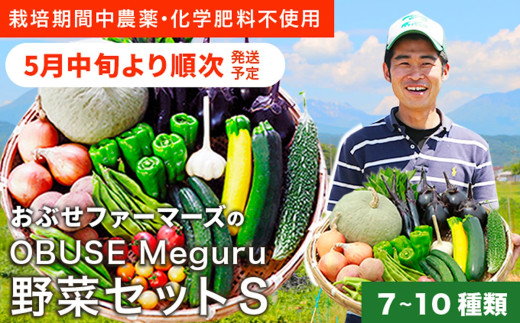  ［栽培期間中農薬・化学肥料不使用 ］OBUSE Meguru 野菜セット S 7～10種類 ［おぶせファーマーズ］野菜 詰め合わせ おまかせ やさい 詰合せ お楽しみ 長野県産 信州 令和7年産 【2025年5月中旬より順次発送】  [FY-1]