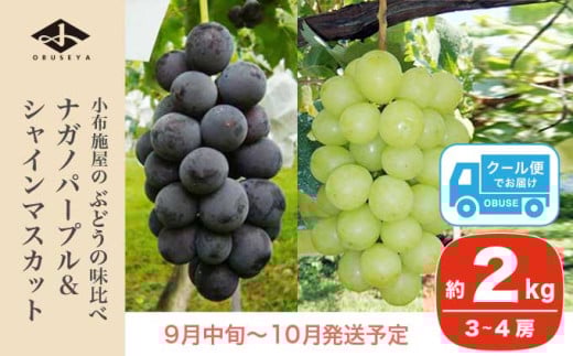 種なしで皮ごと食べられる、話題のぶどう2種セット。