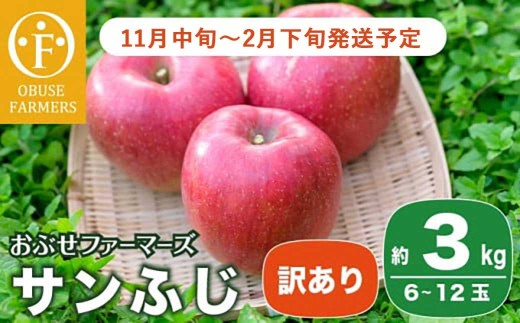 【訳あり】 サンふじ 約3kg 6～12玉［おぶせファーマーズ］ 不揃い 規格外 家庭用 りんご 林檎 リンゴ 果物 フルーツ ふじ 長野 信州 数量限定  【2025年11月中旬～2026年2月下旬発送】［FH-51］