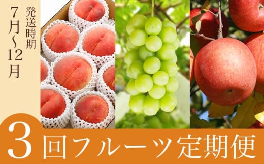 ［3回定期便］ 信州フルーツ3回コース ［小布施屋］ 定期便 先行予約 フルーツ 数量限定 白桃 シャインマスカット ぶどう りんご お楽しみ 3回お届け 長野県産 信州産 令和8年産 【2026年7月～12月発送】