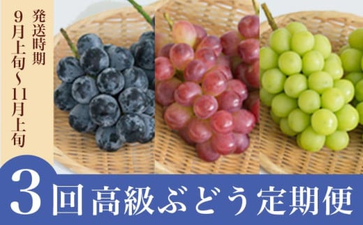 皮ごと食べられる甘い3種を旬の味でお届け。
