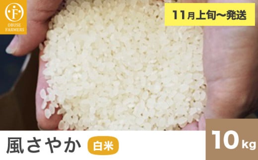 風さやか 白米  約10kg ［ おぶせファーマーズ ］ お米 コメ おこめ ご飯 精米 長野県産 【2025年11月上旬～発送】 ［FK-18］ 白米  約10kg / 28,000円