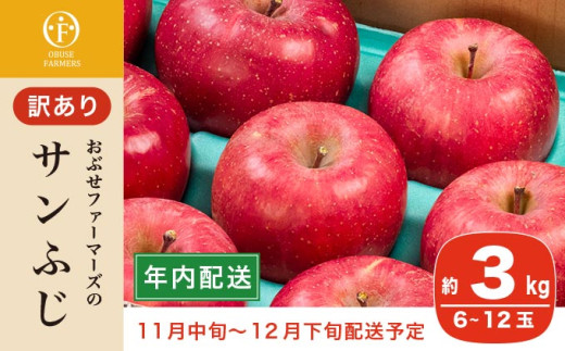 【訳あり】【年内配送】 サンふじ 約3kg 6～12玉 ［おぶせファーマーズ］ 年内発送 果物 フルーツ りんご 不揃い 規格外 家庭用 林檎 リンゴ ふじ 長野県 信州 数量限定 2025 令和7年産 【2025年11月中旬～12月下旬配送】 12月15日決済確定分まで年内配送
