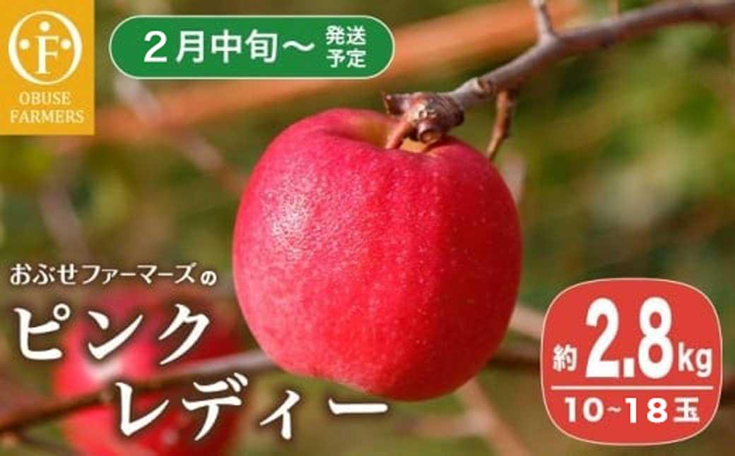 鮮やかなピンク色が可愛い、「恋人たちのりんご」ピンクレディー。