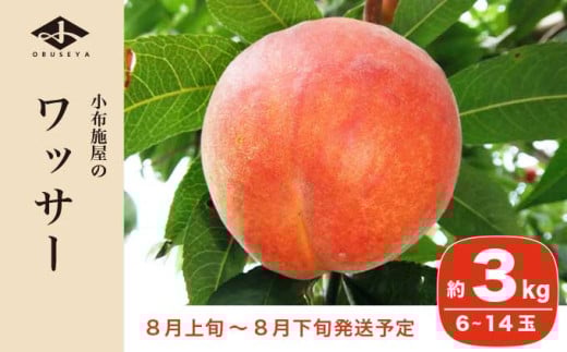 ワッサー 約3kg 6～14玉 ［小布施屋］ フルーツ 果物 長野県産 信州産 クール便 冷蔵便 数量限定 産地直送 令和8年産 【2026年8月上旬～8月下旬発送】 約3kg（6～14玉） / 14,000円