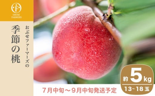 季節の桃 約5kg 13～18玉［ おぶせファーマーズ ］桃 もも モモ ピーチ フルーツ 果物 たまき なつき あかつき 川中島白鳳 なつっこ 川中島白桃 黄金桃 だて白桃 先行予約 長野県産 信州産 クール便 冷蔵便 お取り寄せ 産地直送 数量限定 産地 直送 令和8年産【2026年7月中旬～9月中旬発送】  約5kg (13～18玉) / 18,000円