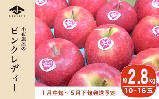 冬春が旬の希少なりんご ピンクレディー 約2.8kg 10～16玉［小布施屋］りんご 林檎 リンゴ 果物 フルーツ 期間限定 数量限定 長野県産 信州産 小布施町 2月発送 3月発送 4月発送 5月発送 令和7年産 【2026年1月中旬～5月下旬】［A-51］