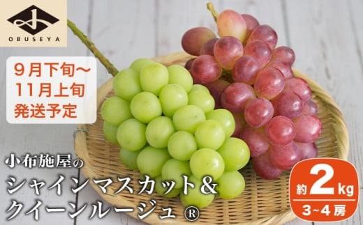 皮ごと食べられる甘い3種を、旬の時期にお届け。