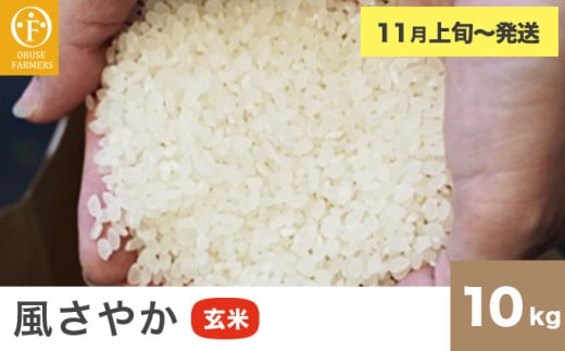 風さやか 玄米  約10kg ［ おぶせファーマーズ ］ お米 コメ おこめ ご飯 精米 長野県産 【2025年11月上旬～発送】［FK-20］ 玄米  約10kg / 28,000円