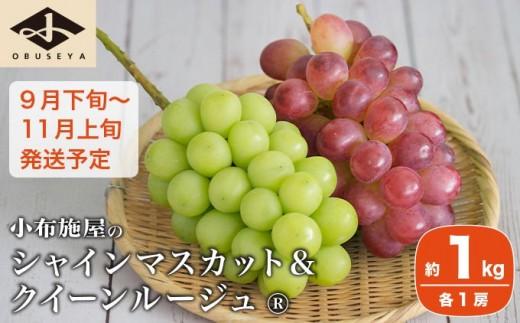 皮ごと食べられる甘い3種を旬の味でお届け。